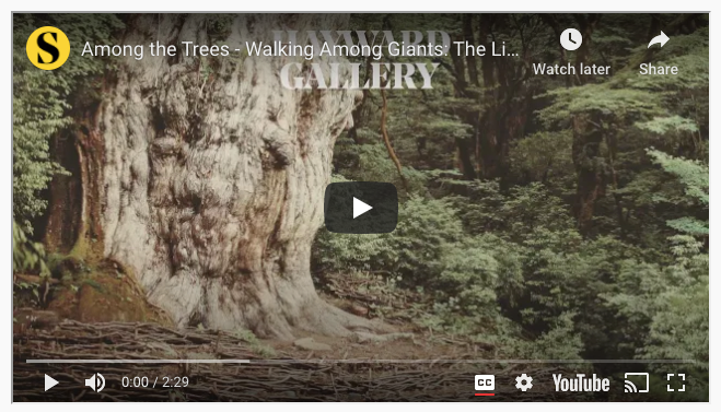 Screenshot of Youtube video entitled "Among The Trees"
